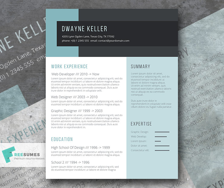 one page word resume template